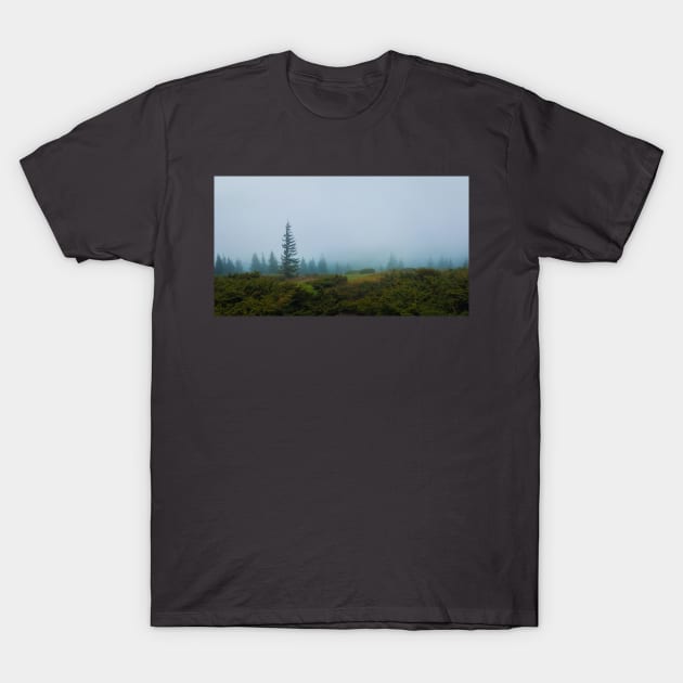 Gloomy mountains landscape T-Shirt by psychoshadow